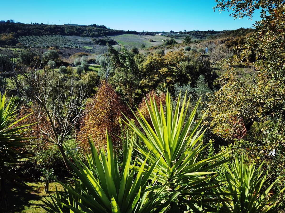 Quinta Do Vale Encantado "The Valley" - Santarem - Portugal Calhariz Εξωτερικό φωτογραφία