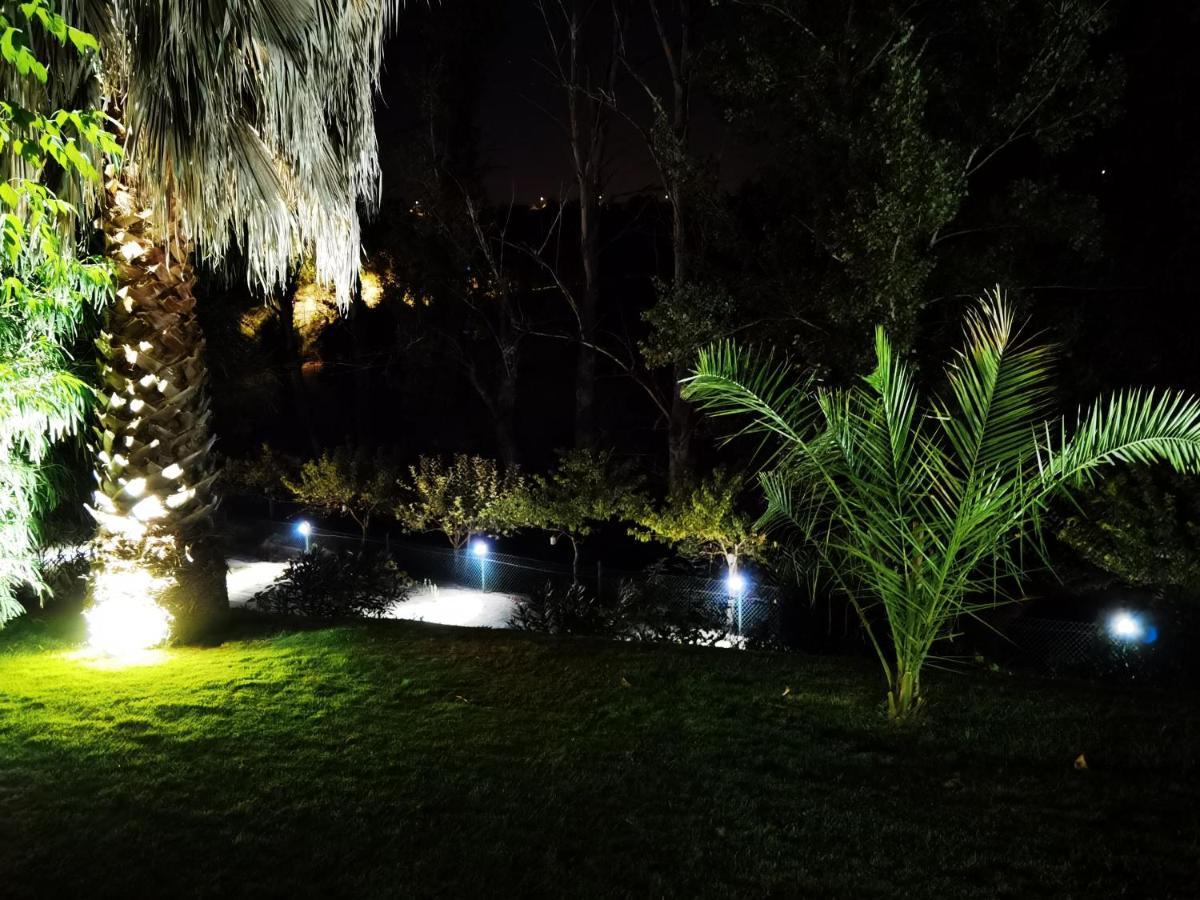 Quinta Do Vale Encantado "The Valley" - Santarem - Portugal Calhariz Εξωτερικό φωτογραφία