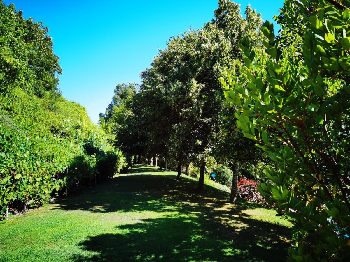 Quinta Do Vale Encantado "The Valley" - Santarem - Portugal Calhariz Εξωτερικό φωτογραφία