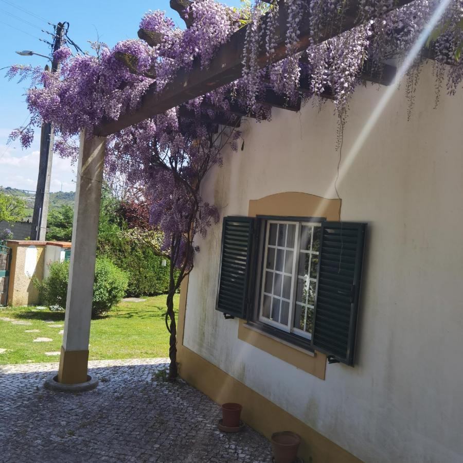 Quinta Do Vale Encantado "The Valley" - Santarem - Portugal Calhariz Εξωτερικό φωτογραφία