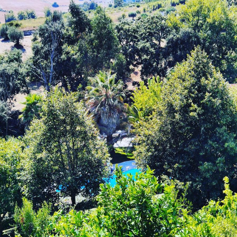 Quinta Do Vale Encantado "The Valley" - Santarem - Portugal Calhariz Εξωτερικό φωτογραφία