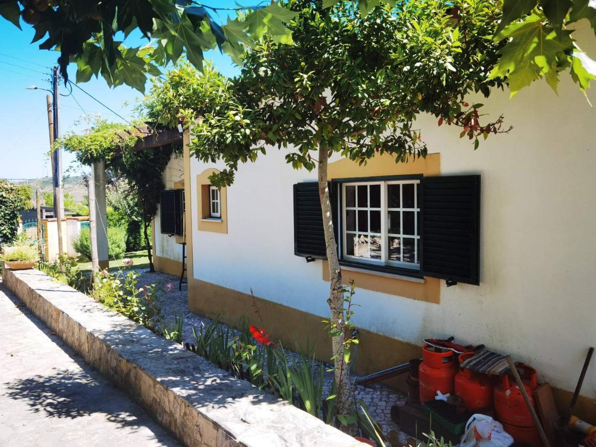 Quinta Do Vale Encantado "The Valley" - Santarem - Portugal Calhariz Εξωτερικό φωτογραφία