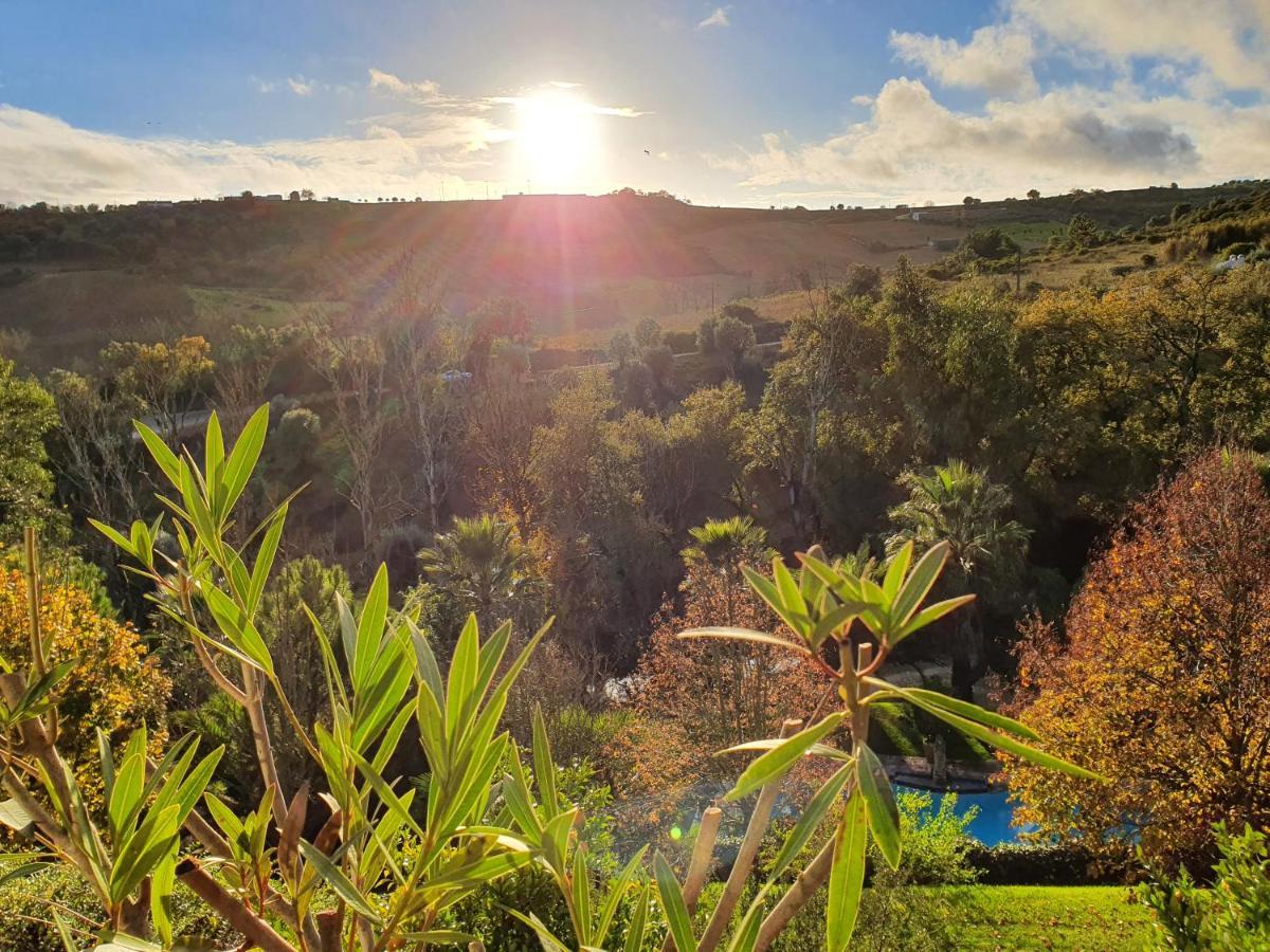 Quinta Do Vale Encantado "The Valley" - Santarem - Portugal Calhariz Εξωτερικό φωτογραφία