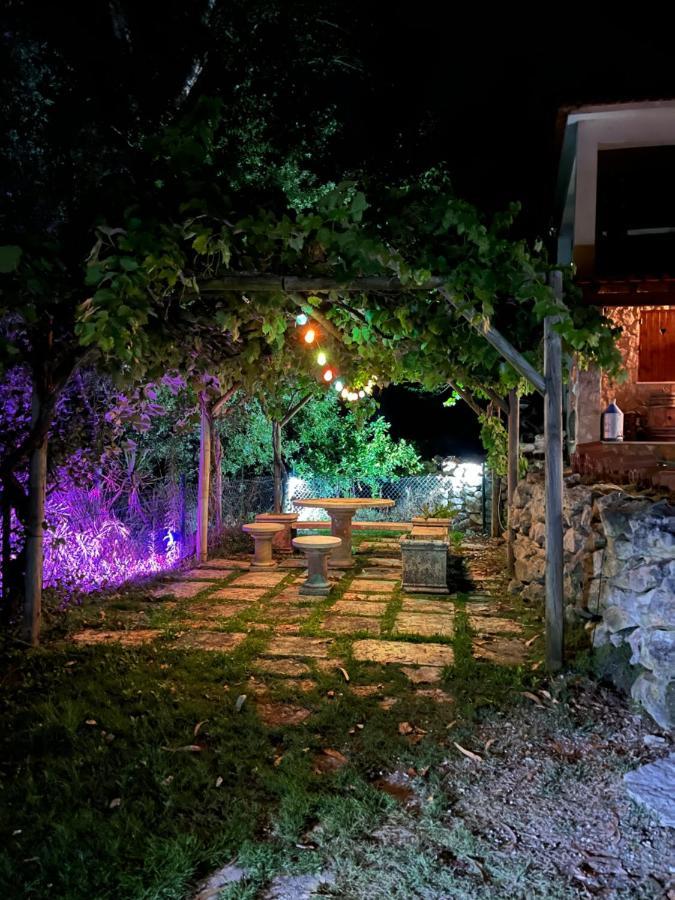 Quinta Do Vale Encantado "The Valley" - Santarem - Portugal Calhariz Εξωτερικό φωτογραφία